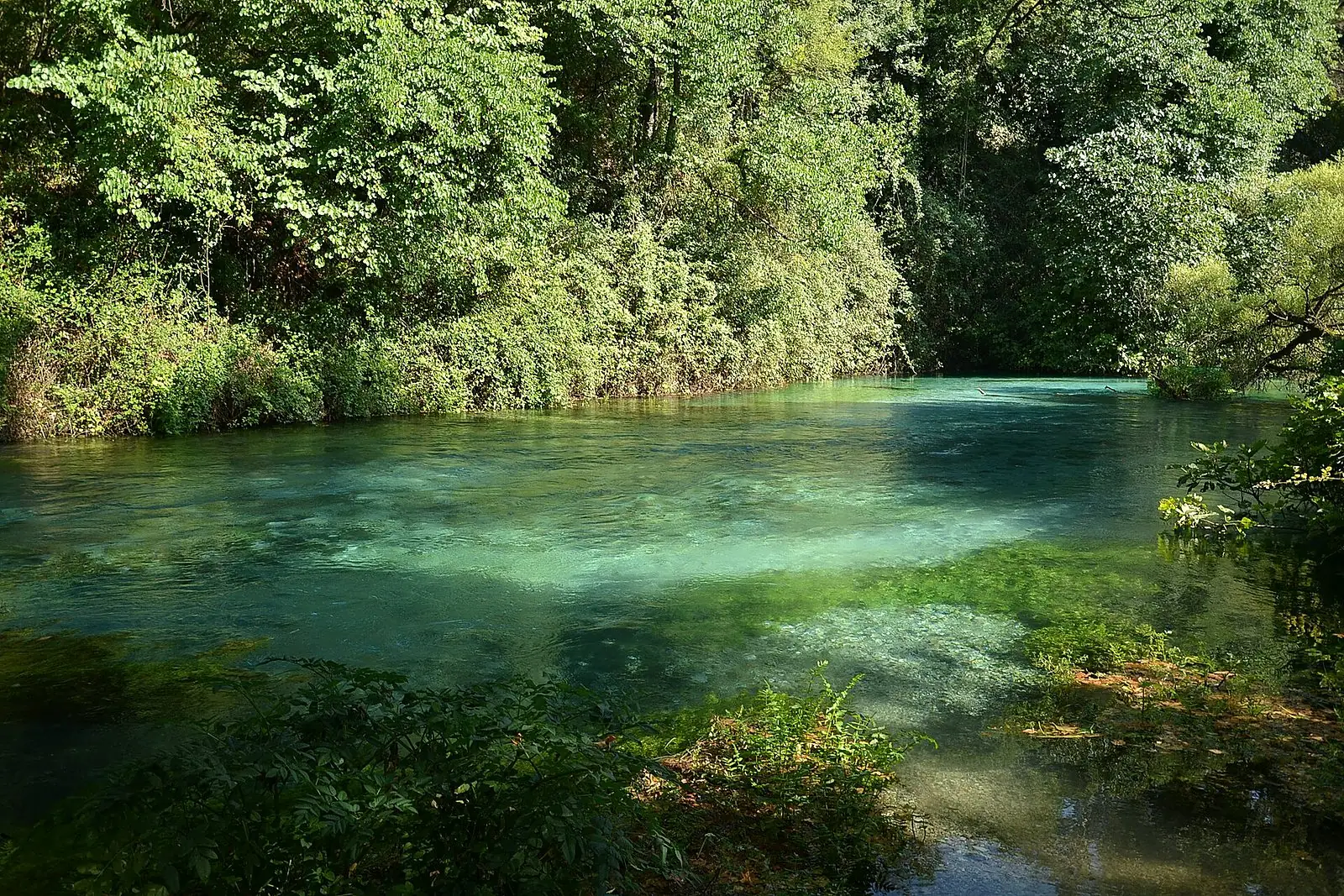 Blue Eye Syri i Kaltër Albania